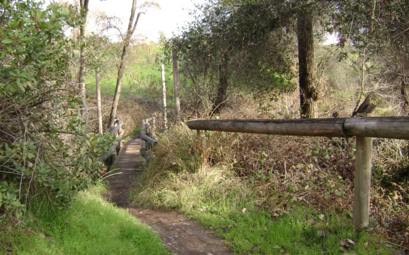Hiking trail footbridge through vegetation in the Folsom area